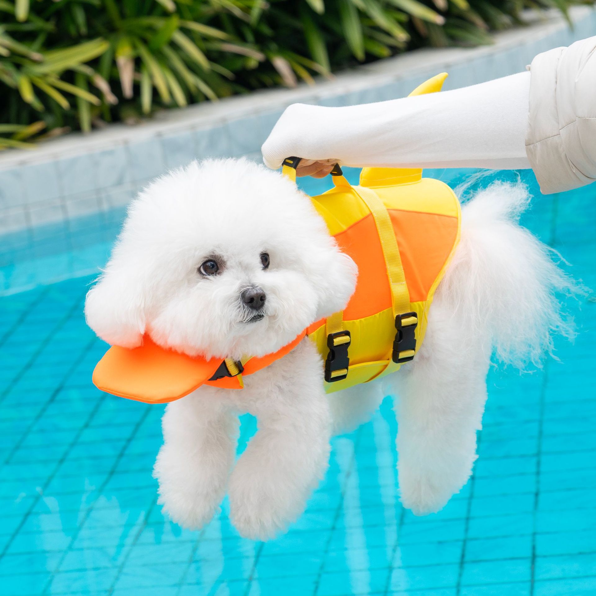 Pet Life Jacket Pet Supplies Dog Life Jacket photo 6