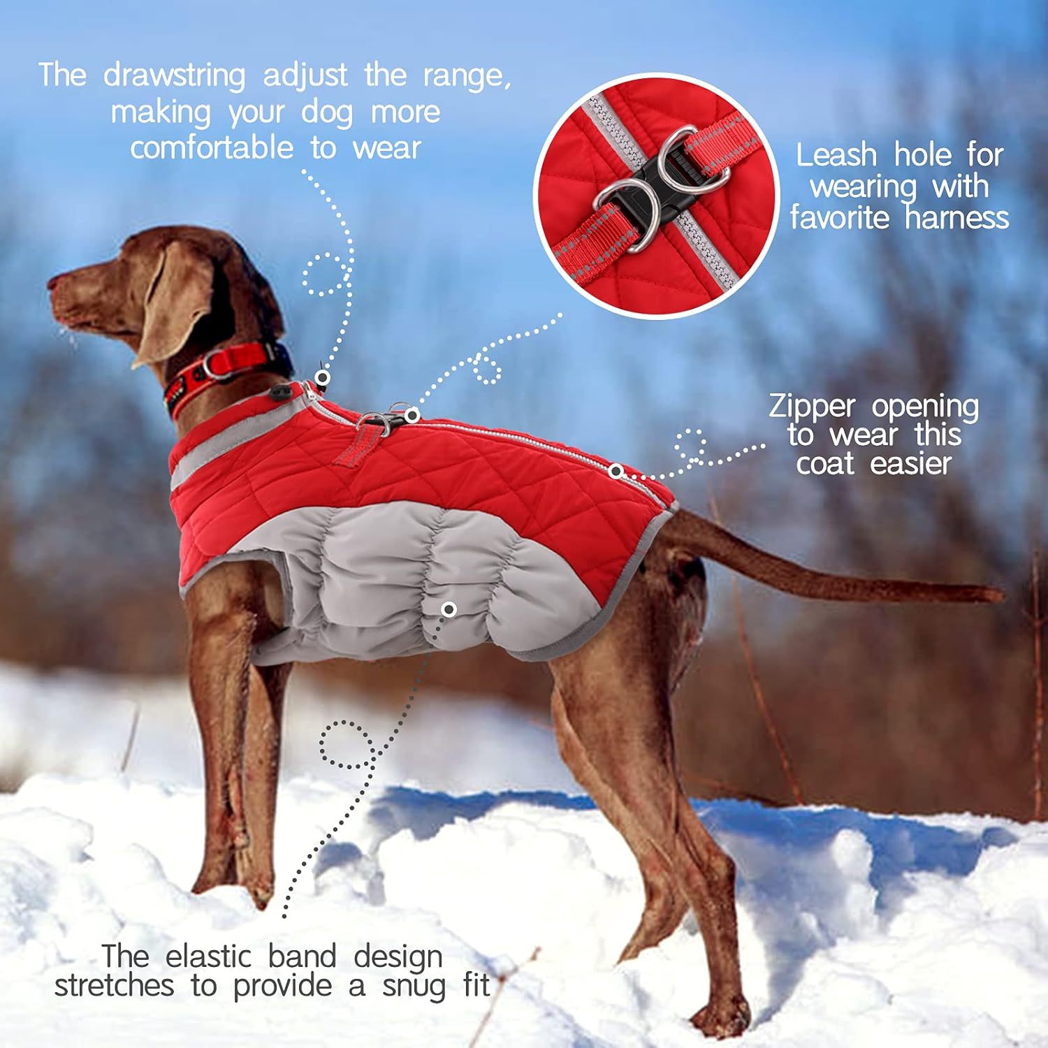 Pet Clothing Dog Padded Coat Winter Windproof Warm Dog Padded Coat photo 3