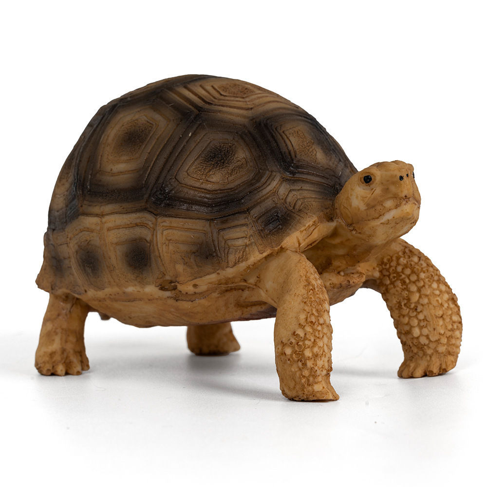 Resin Ornamental Figurine For Pet Turtle Tanks, Designed To Mimic A Brazilian Turtle Habitat photo 5