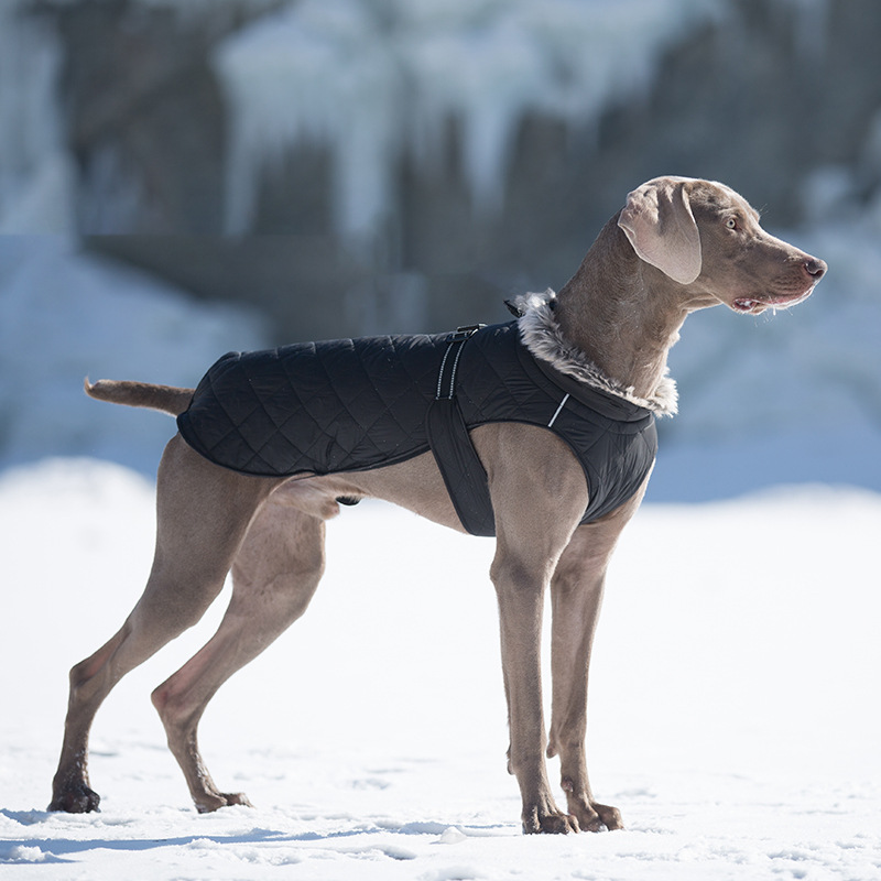 Pet Clothing Cotton Coats Wholesale, Winter Heavy-duty Jackets For Large Dogs photo 4