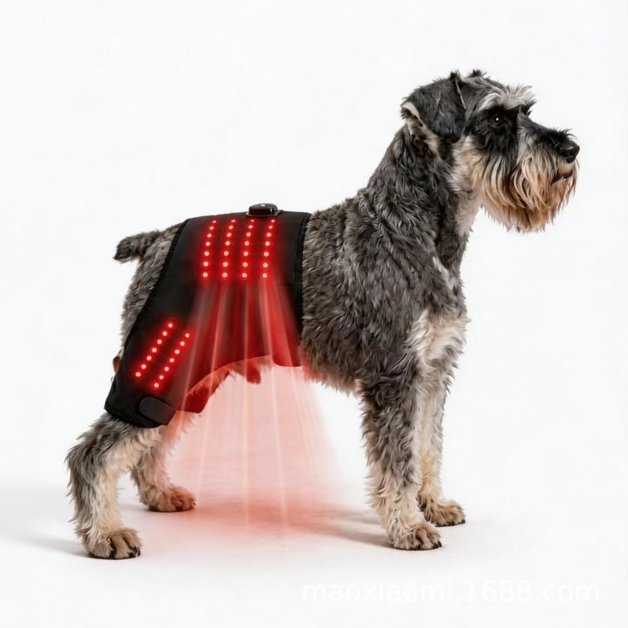 Dual-use Care Band For Pets Front And Rear Limbs And Hips photo 2