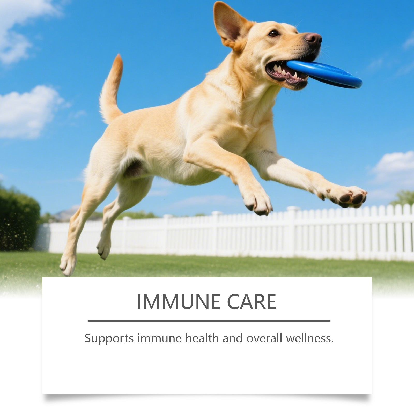 Canine Care Chewable Tablets - Pet Health Supplement for Dogs Daily Wellness Support photo 5