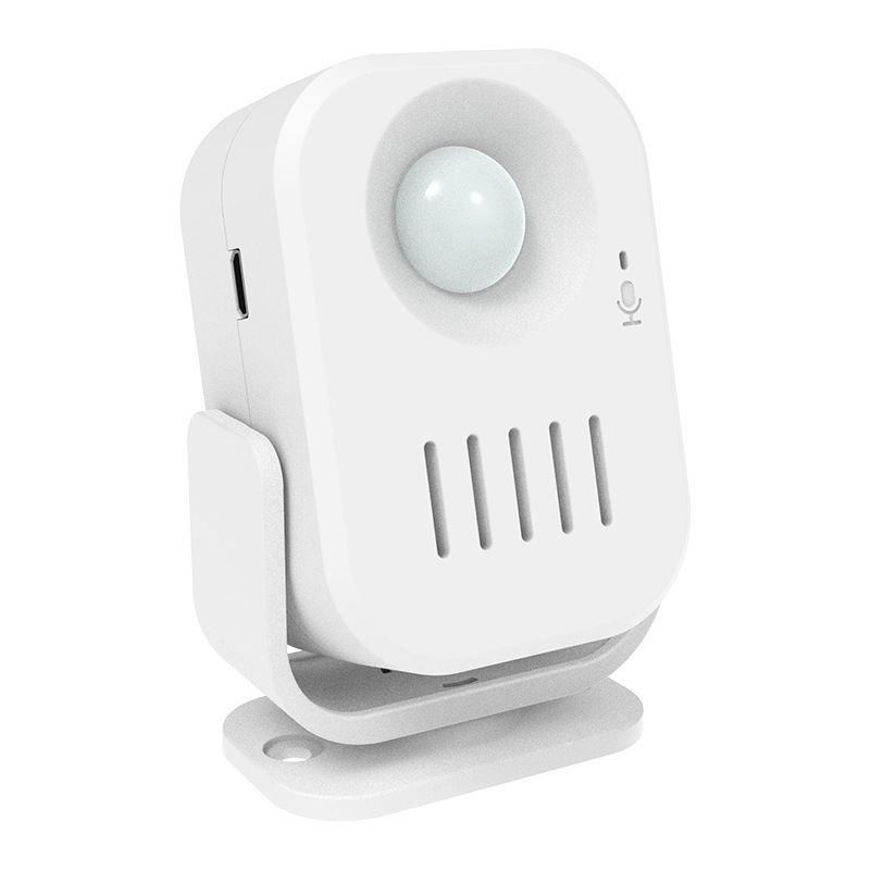 Voice-announcing Alarm-enabled Doorbell photo 4