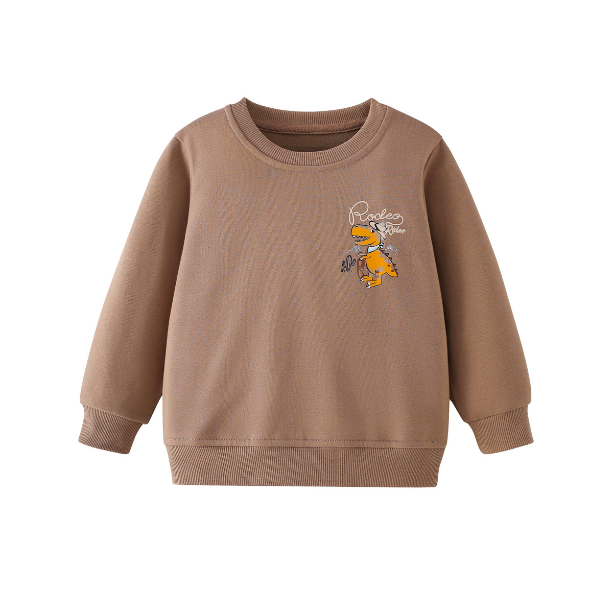 Kids Crew-Neck Cartoon Hoodie With Desert Dinosaur Print photo 4