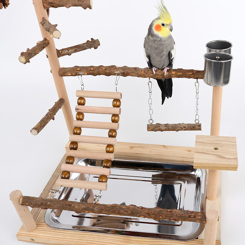Sichuan Pepper Parrot Climbing Training Platform photo 8