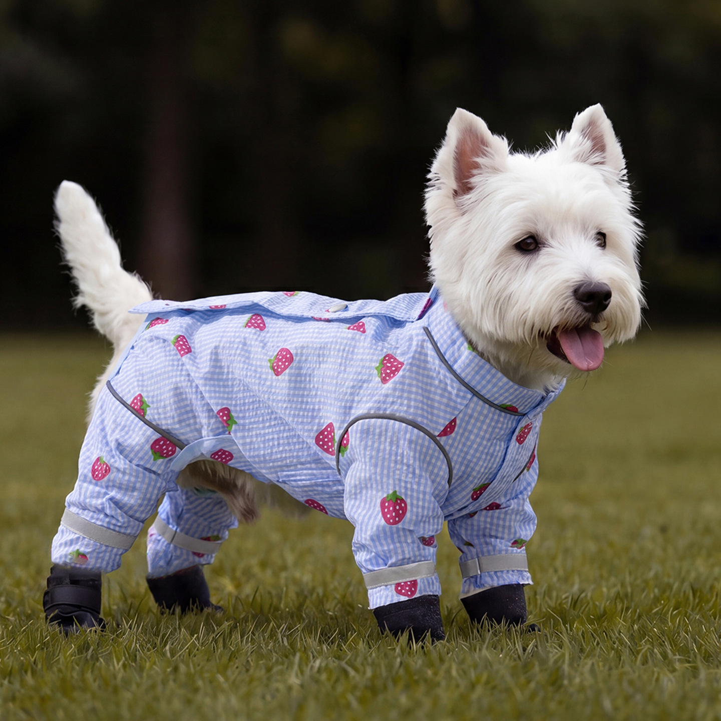 Outdoor Cover-up Pet Dog Clothing photo 3