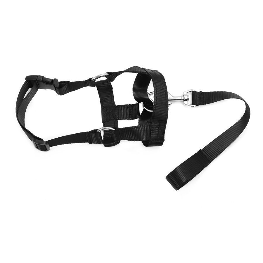 Short-handled Leash For Walking Dogs photo 3