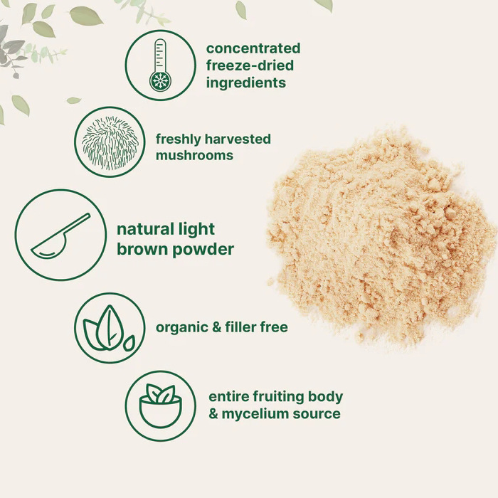 Lion's Mane Mushroom Powder Mineral Supplement photo 5