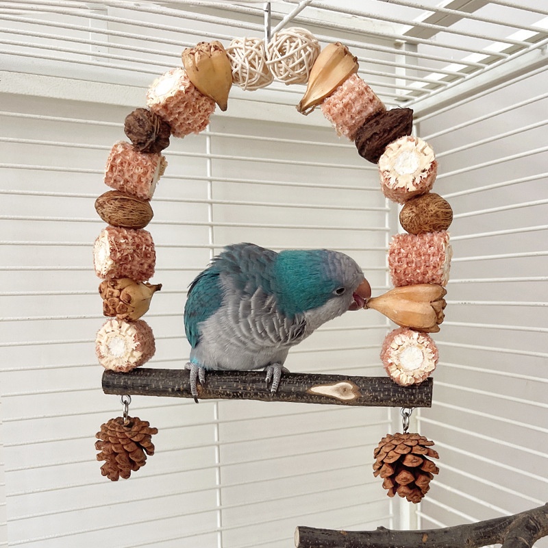 Wooden Parrot Swing Natural Log Bird Stand Pole Perched Wooden Mountain Parrot Toys photo 1