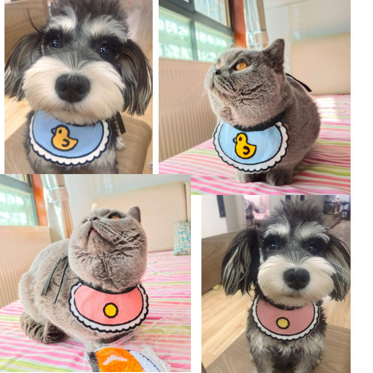 Korean Cute Pet Cat Saliva Bib Dog photo 3