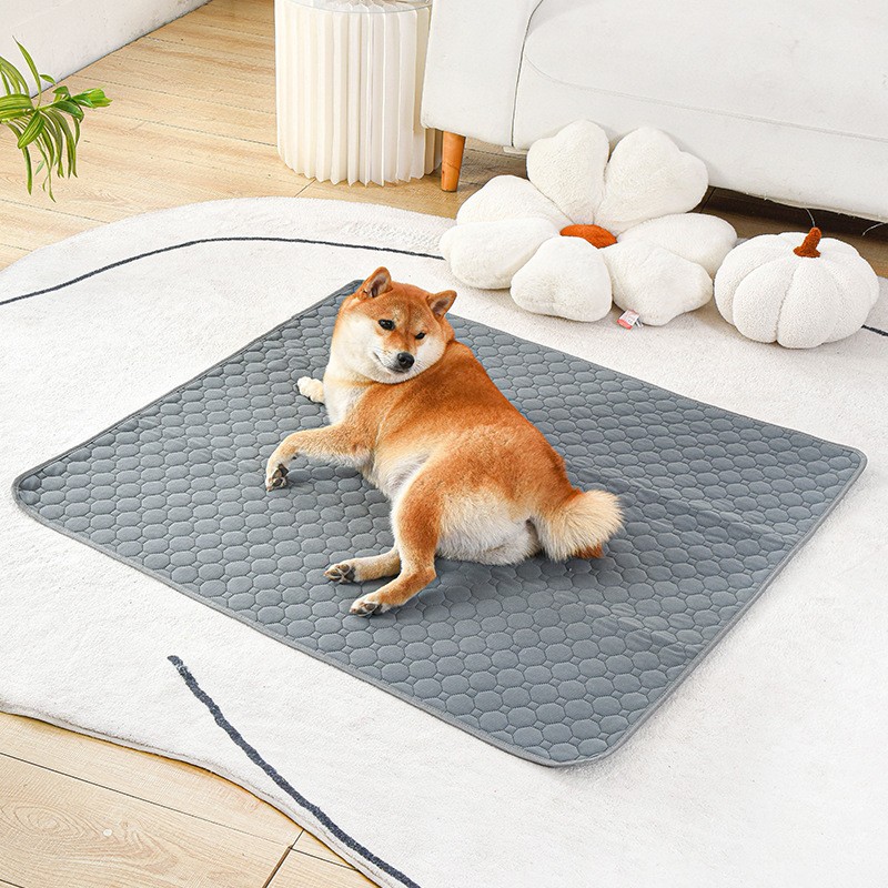 Washable Waterproof Reusable Pet Pad photo 2