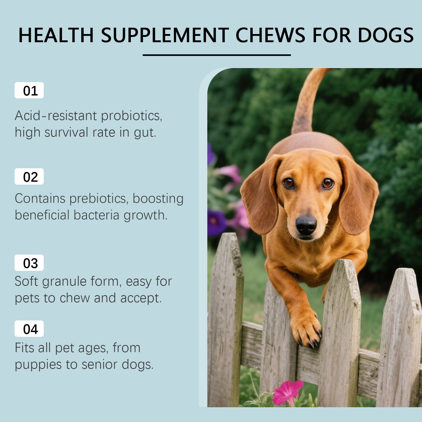 Canine Care Chewable Tablets - Pet Health Supplement for Dogs Daily Wellness Support photo 3