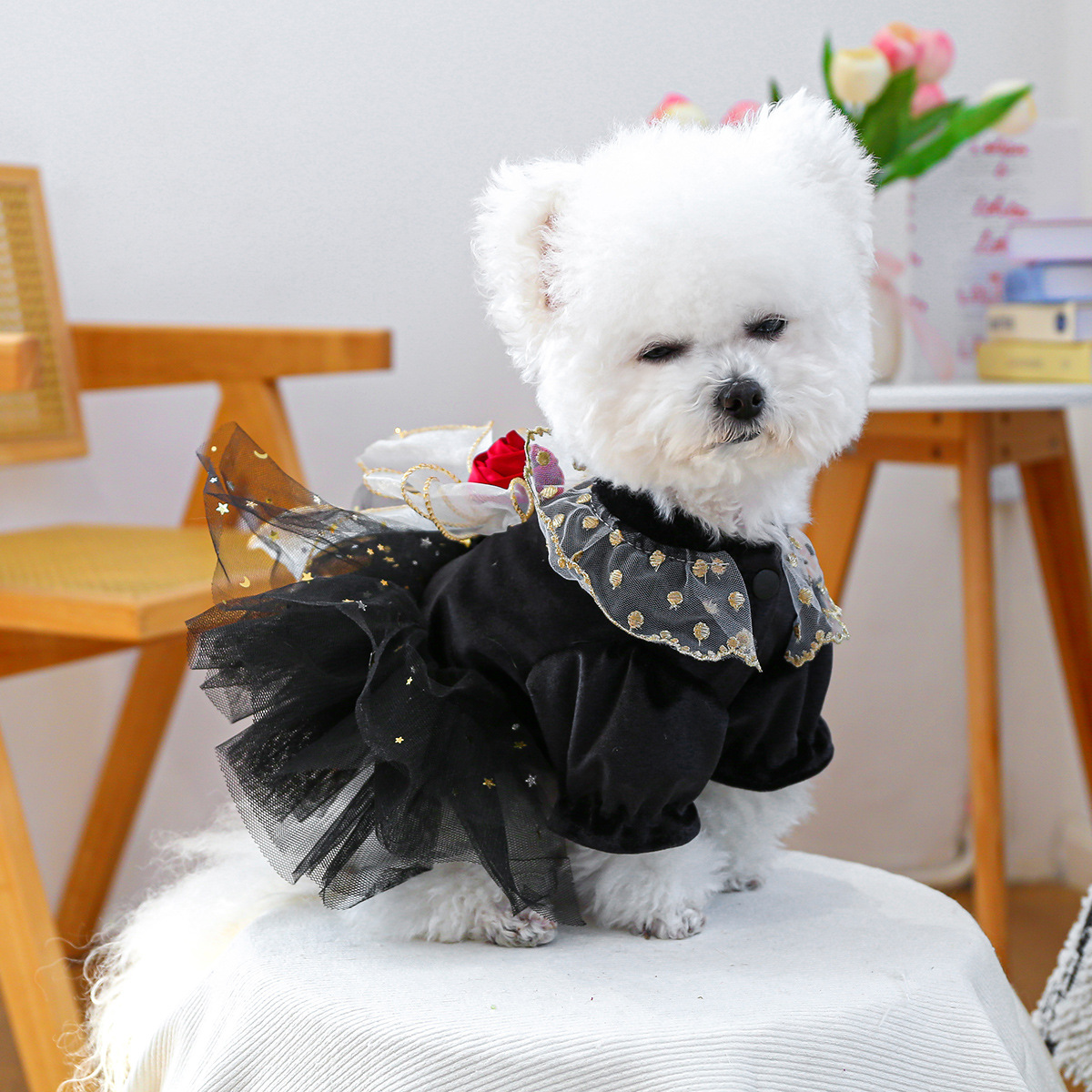 Small Dog Puppy Outfit Black Velvet Rose Dress photo 4