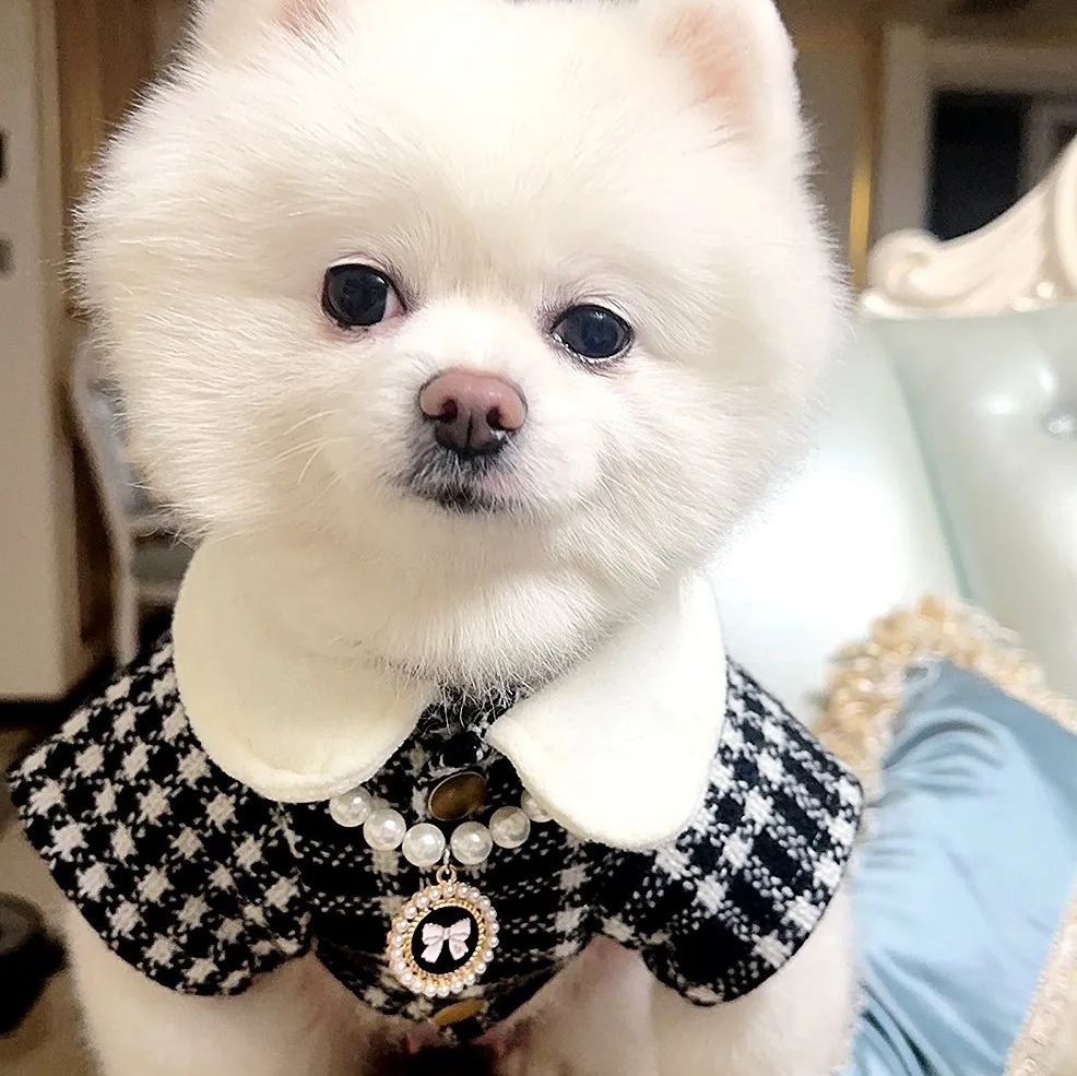 Trendy Warm Pet Clothes For Dogs And Cats photo 7