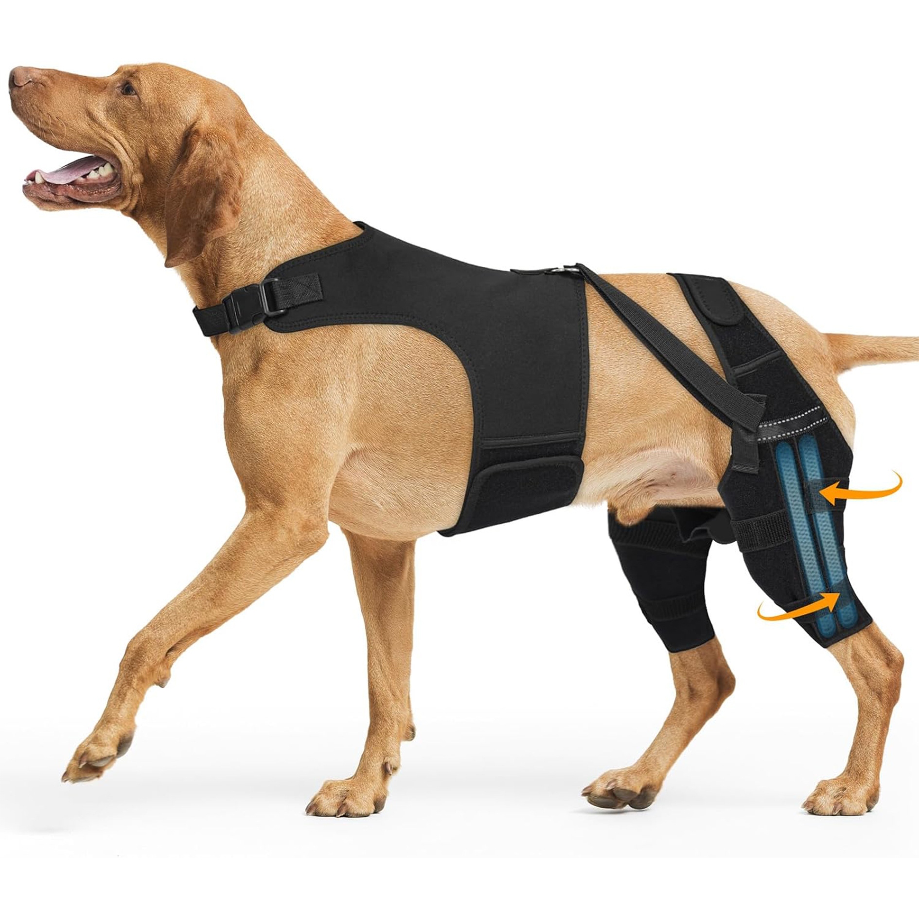 Pet Dog Rear Leg Protective Gear photo 5