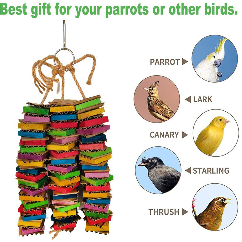 Parrot Gnawing Toy Building Blocks Destroyed photo 3