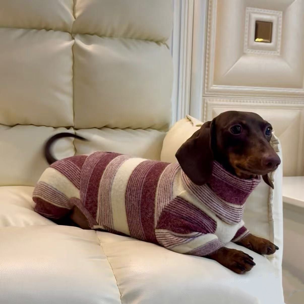 Winter-Proof Dachshund Pet Clothes Autumn And Winter High-Neck Style photo 3