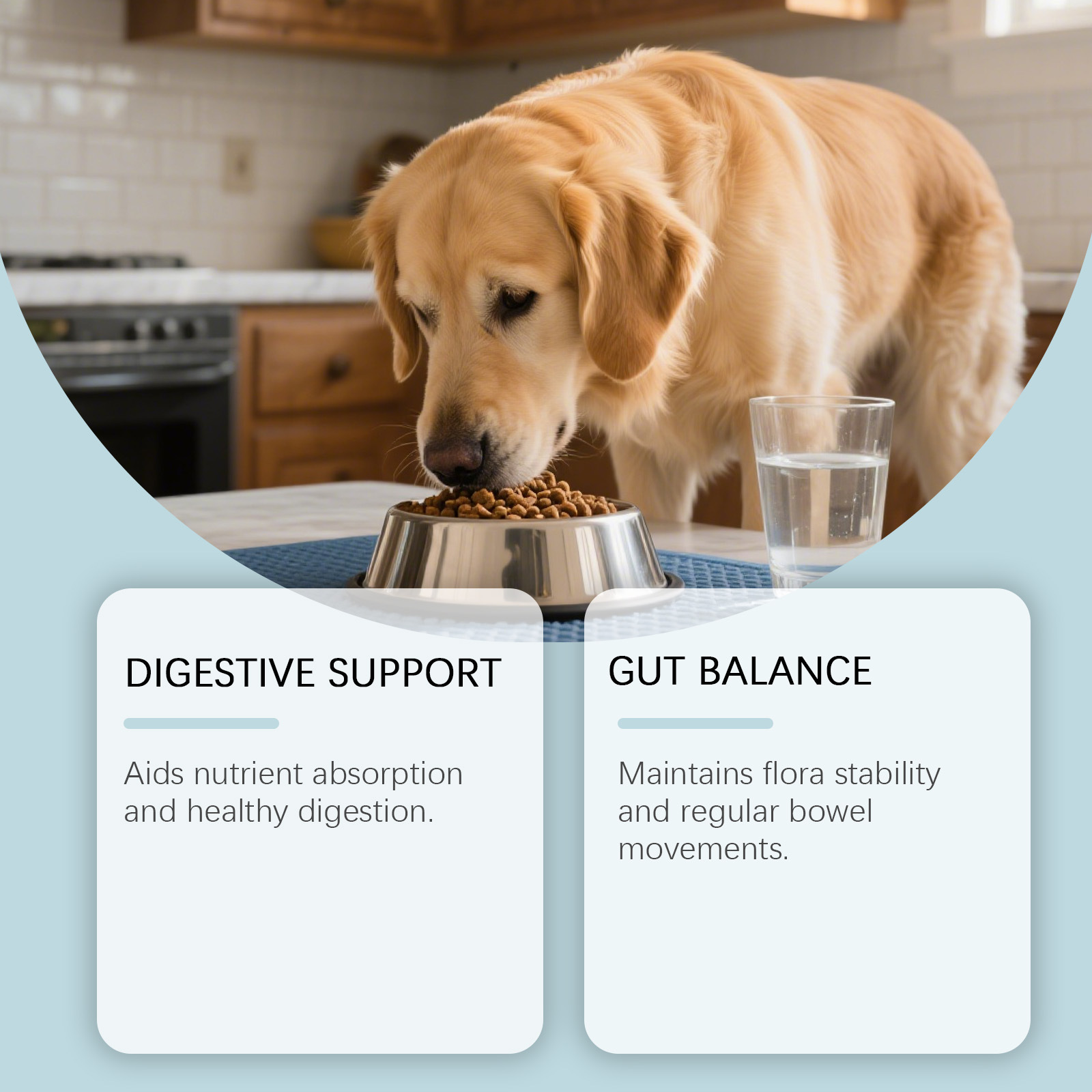 Canine Care Chewable Tablets - Pet Health Supplement for Dogs Daily Wellness Support photo 2