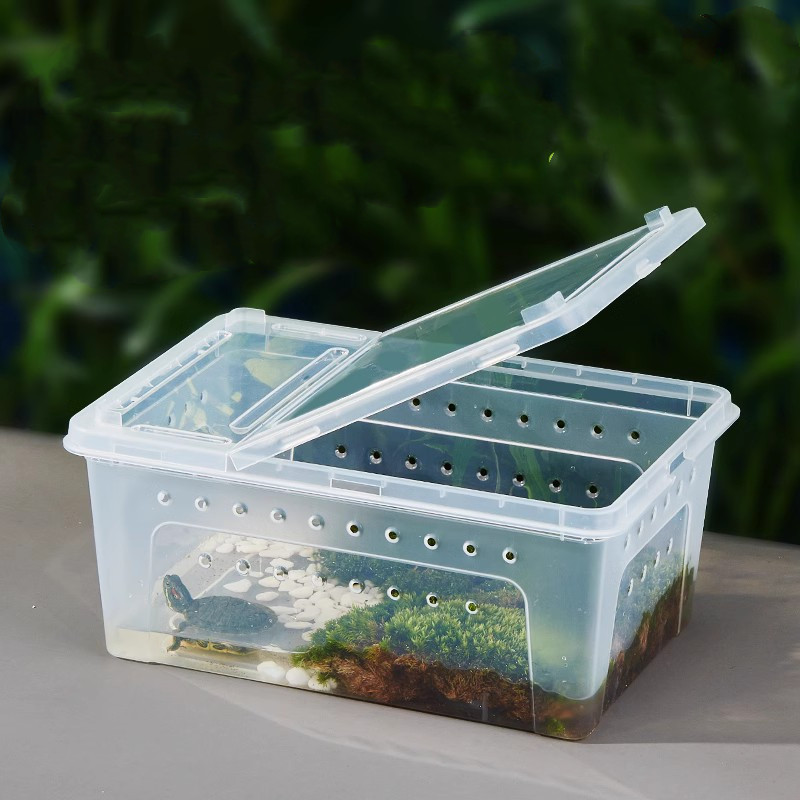Silkworm Feeding Pet Box Turtle Jar photo 1