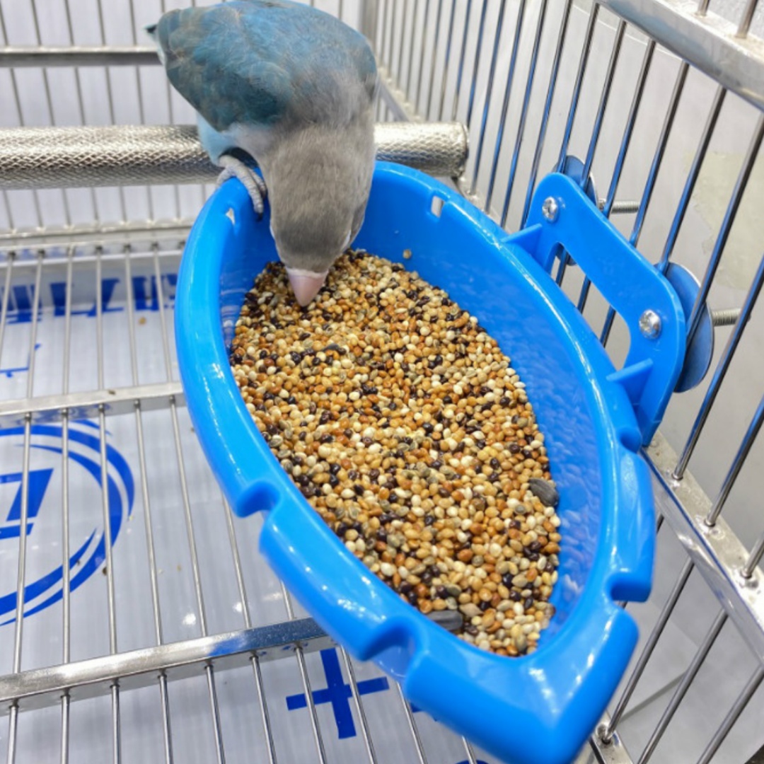 Multifunctional Feeder Bird Bathtub photo 1