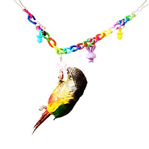 Parrot Acrylic Chain Suspension Bridge Swing Toy photo 2