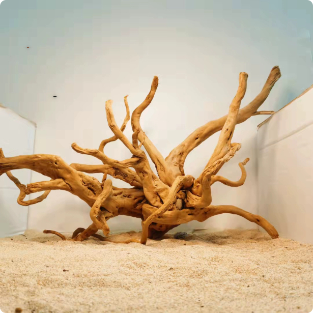 Xiaoqi Root Fish Tank Scenery Decoration Ornaments photo 1