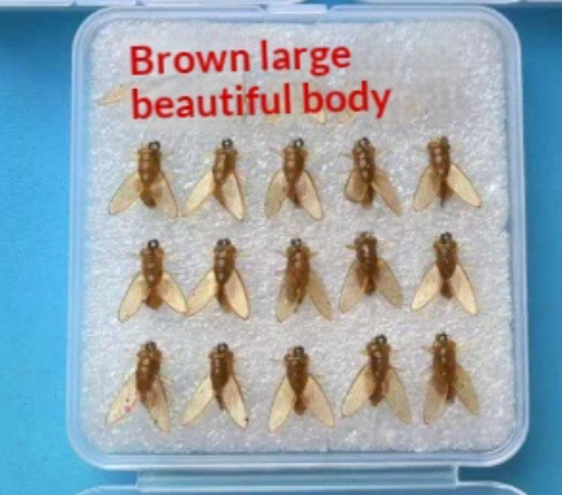 Lure Bionic Fly Hook Fly Fishing Tackle photo 4