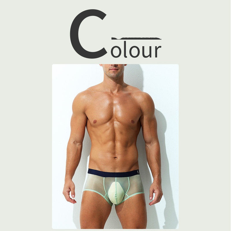 Boxer Briefs Ultra-thin Sheer Ice-silk Low-rise Sexy photo 8