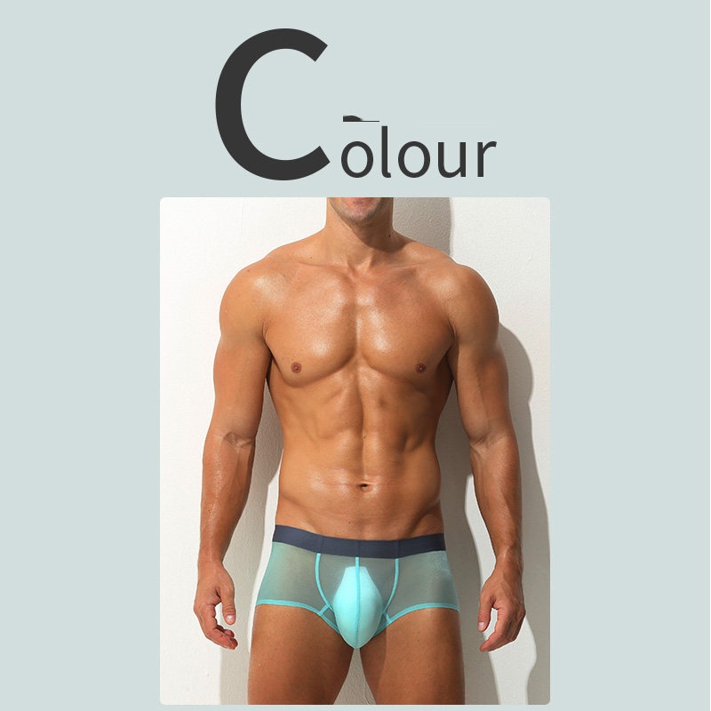 Boxer Briefs Ultra-thin Sheer Ice-silk Low-rise Sexy photo 5