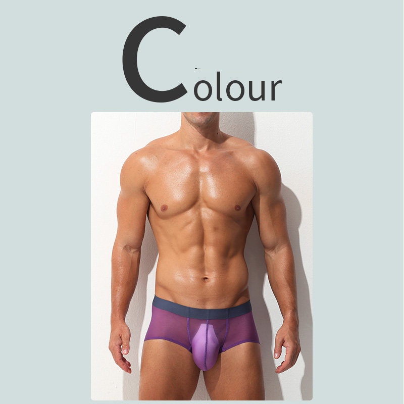 Boxer Briefs Ultra-thin Sheer Ice-silk Low-rise Sexy photo 7