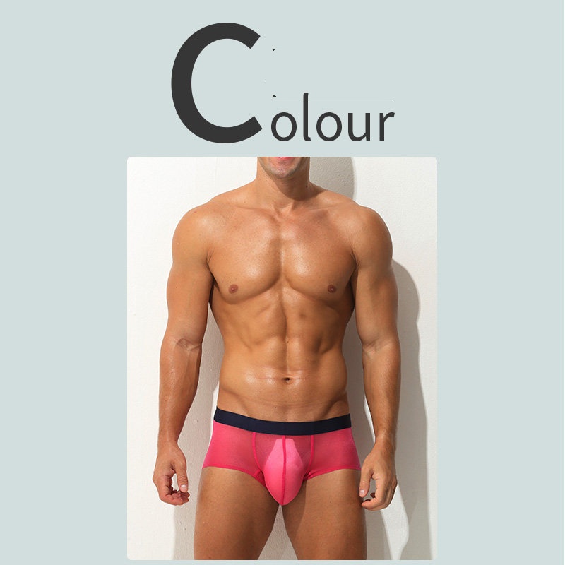 Boxer Briefs Ultra-thin Sheer Ice-silk Low-rise Sexy photo 3