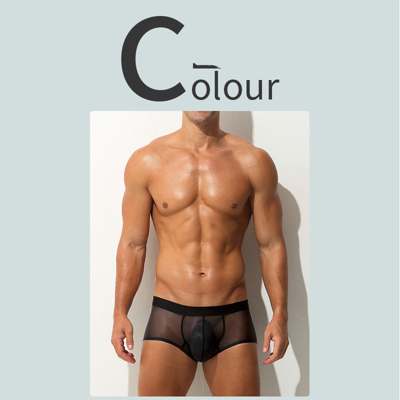 Boxer Briefs Ultra-thin Sheer Ice-silk Low-rise Sexy photo 2