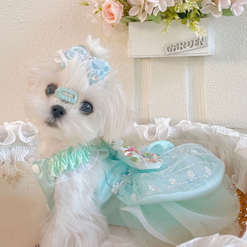 Maltese Princess Dress Pet Clothes Summer photo 1
