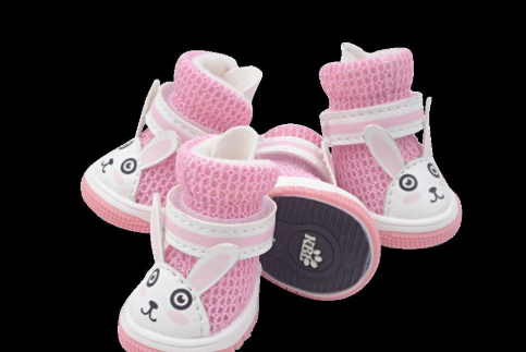 Pet Web Teddy Dog Shoes photo 6