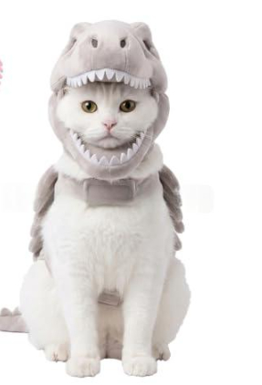 Dinosaur Skeleton Pet Costume Halloween Cat Hoodie photo 6