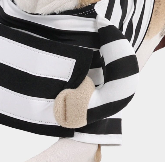 Personalized Halloween Dog Prisoner Pet Costume photo 4