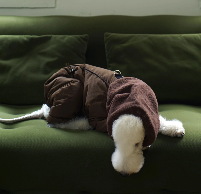 Winter Warm Down Jacket For Medium-sized Dogs Made With White Duck Down photo 6