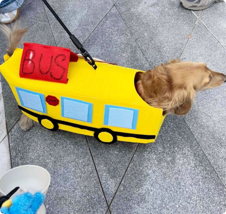 Baby Bus Pet Clothes photo 3