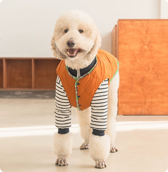 Thermal Protection Labrador Golden Retriever Samoyed Premium Pet Clothing photo 2