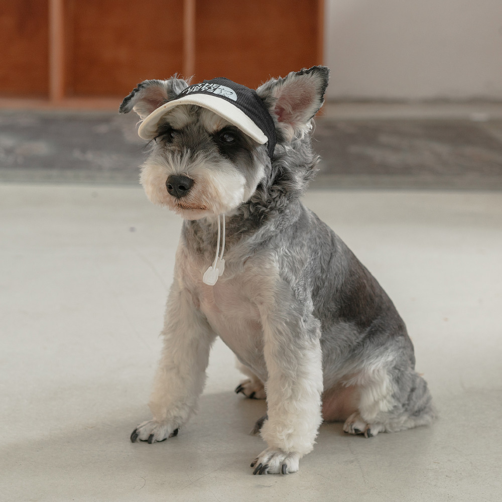 Contrasting-color Dog Baseball Cap With Good Breathability photo 5