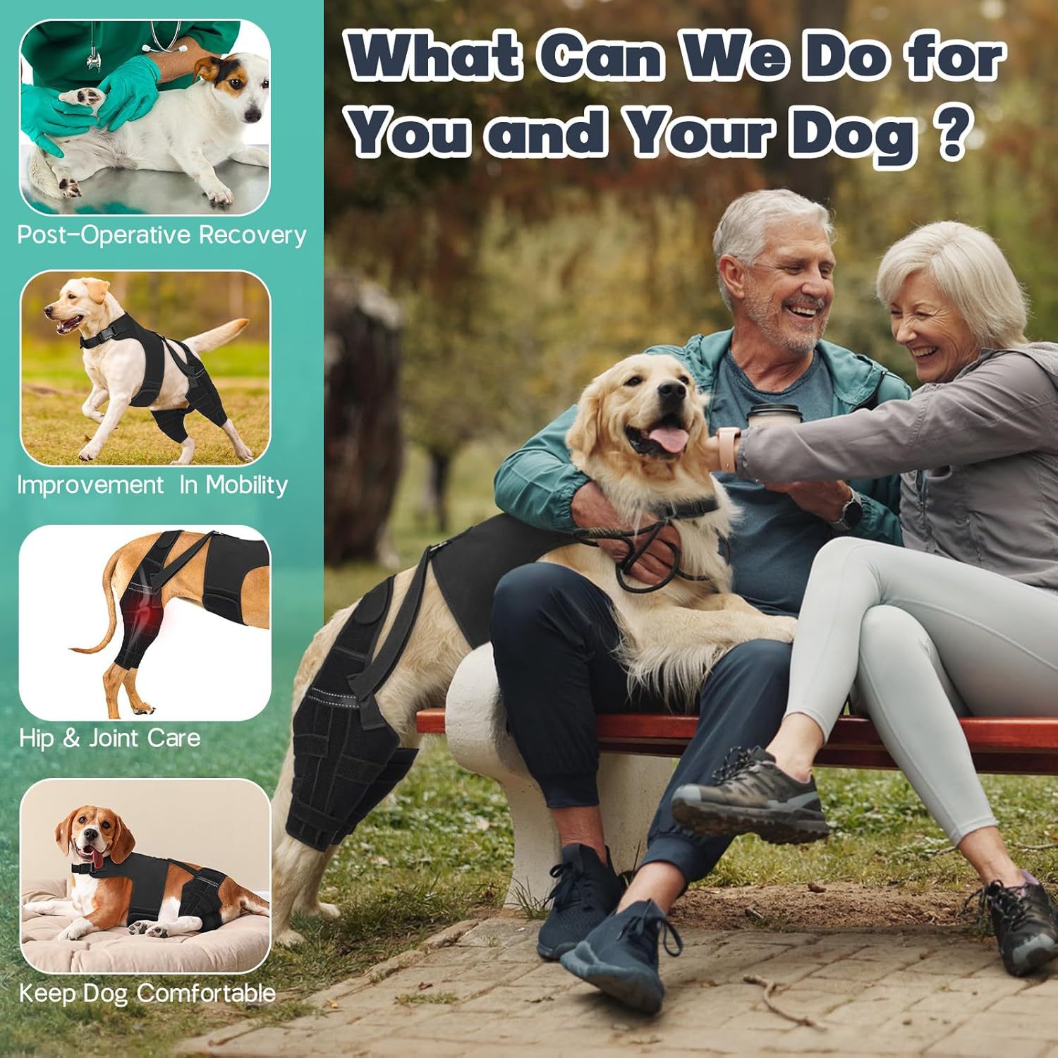 Pet Dog Rear Leg Protective Gear photo 2