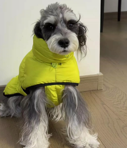 Schnauzer Autumnwinter Waterproof Thickened Warm Vest photo 2