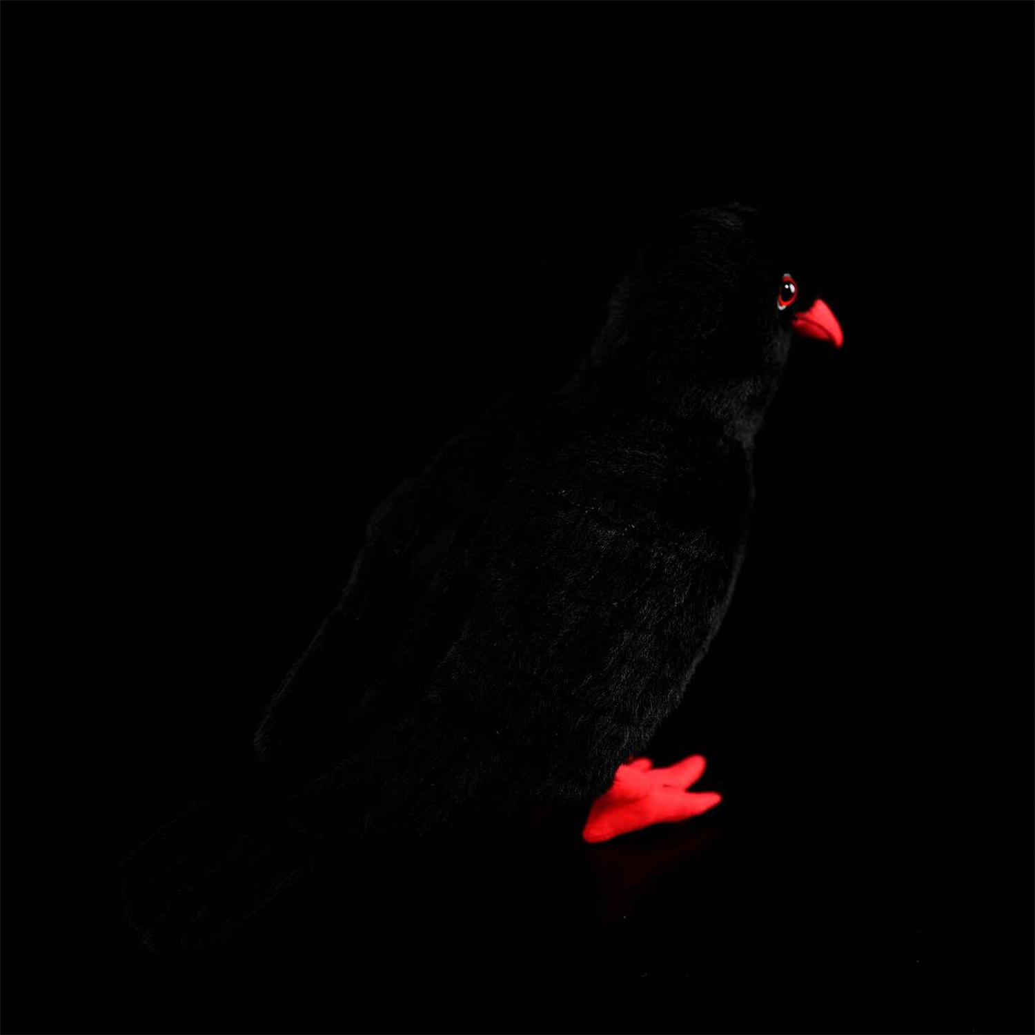 Red-billed Jay Plush Toy photo 5