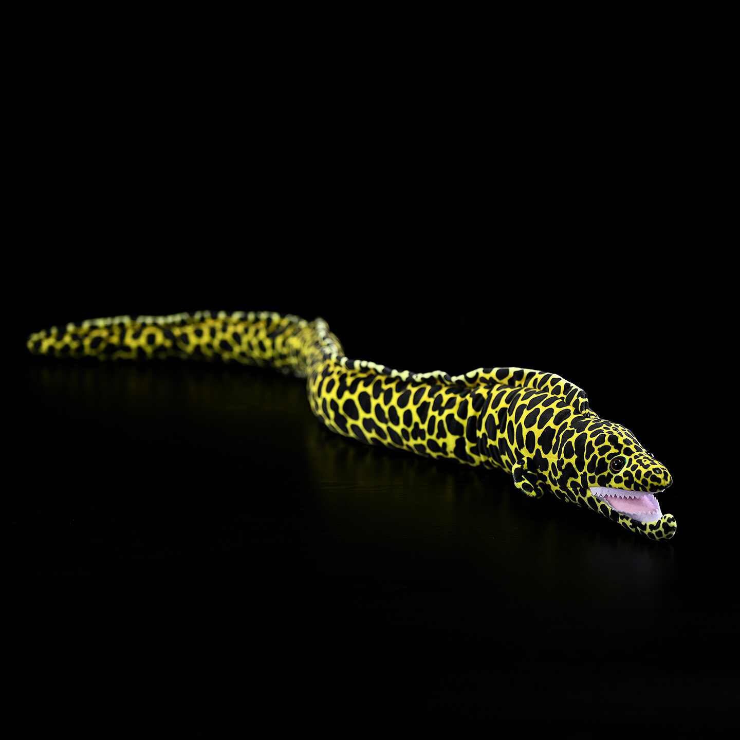 Bean Naked-breasted Eel Plush Toy photo 4
