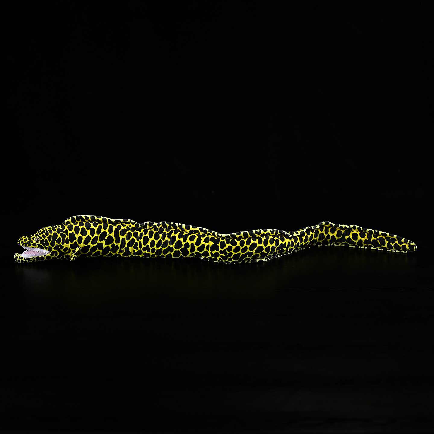 Bean Naked-breasted Eel Plush Toy photo 2