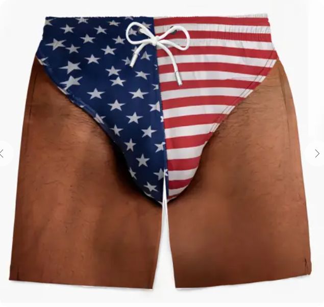 Mens Patriotic American Flag Swim Briefs  Stars Stripes Beachwear photo 2