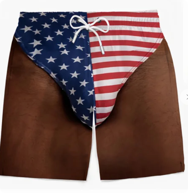 Mens Patriotic American Flag Swim Briefs  Stars Stripes Beachwear photo 6