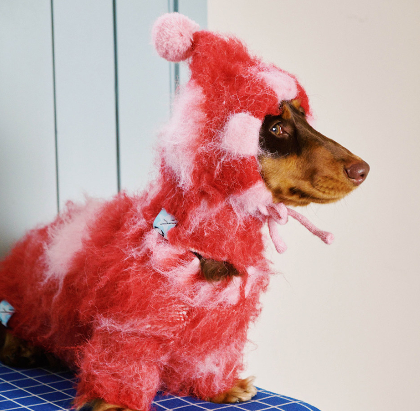 Camel-colored Long-haired Sweater For Cats And Dogs photo 3