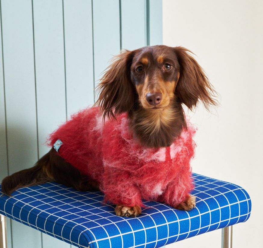 Camel-colored Long-haired Sweater For Cats And Dogs photo 4