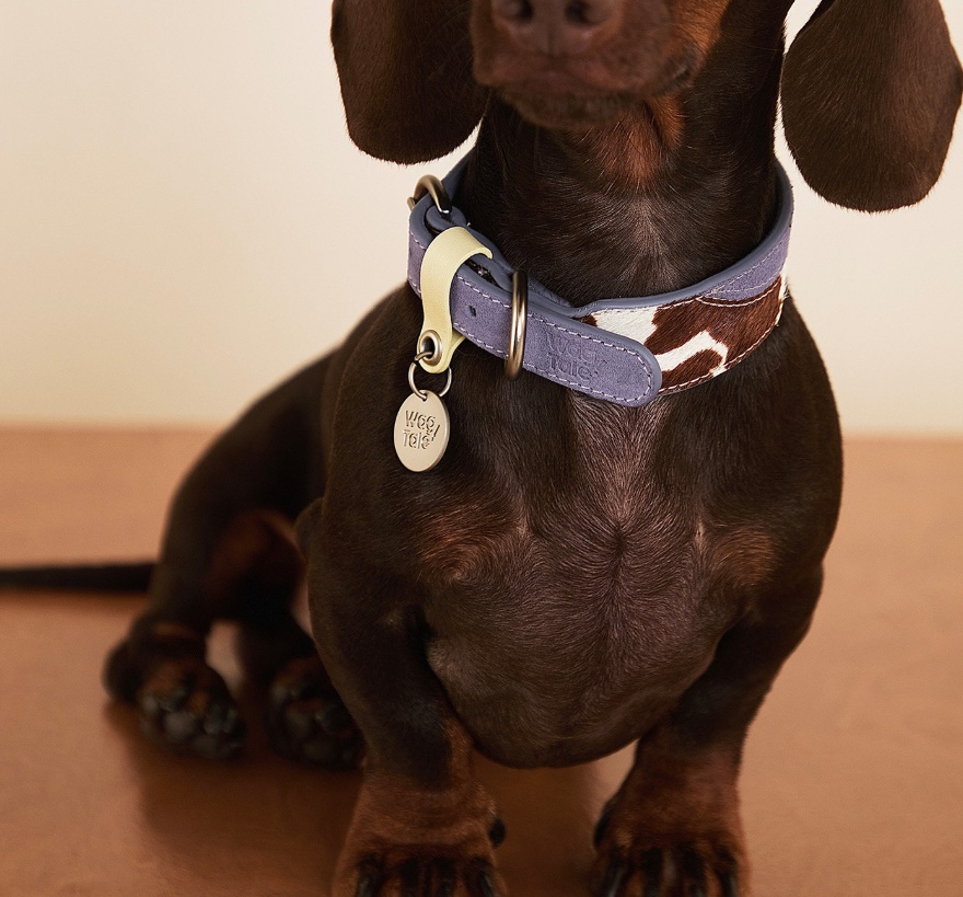 Pet Multi-color Cowhide Collar Universal Fit photo 6